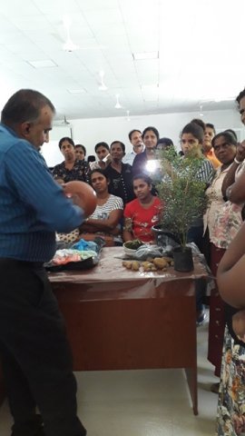 බොන්සායි පුහුණු වැඩසටහන 2019.02.18